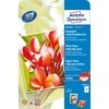 Avery Zwckform Premium High Gloss fotopopierius 250g A4