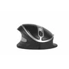 Bakker Elkhuizen Pelė BakkerElkhuizen BakkerElkhuizen Oyster Pelė Large wireless - BNEOYMWL