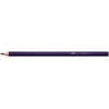 Bic Spalvoti pieštukai Color Up 24 spalvų rinkinys 9641482