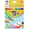 BIC Evolution Triangle - Multi - 12 pc(s)