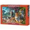 Castorland Dėlionė 3000 vnt. - Tigrai