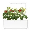 Išmanus namų sodas Click & Grow Smart Indoor Garden 3, baltas