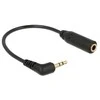 DELOCK AUDIO LIZDAS 2.5MM(M) 3 PIN->MINIJACK 3.5MM(F) 4 PIN 0.17M JUODA
