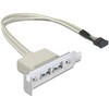 DELOCK Slotblech – USB 2.0 2x prievadas žemo profilio