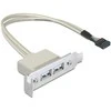 DELOCK Slotblech – USB 2.0 2x prievadas žemo profilio