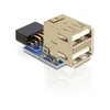 Delock Adapteris USB PIN 9PIN