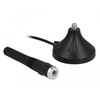 Delock LTE Antenne SMA Stecker 2 - 3 dBi 11 cm starr omnidirektional