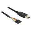 DeLOCK USB jungtis > TTL 6P moteriškas kištukas 1,8 m