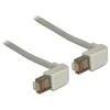 Delock Patchkabel SFTP CAT 5e grau 1,0m
