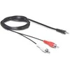 Delock garso kabelis 3,5 mm lizdo kištukas > 2 x 5 m