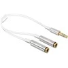 DELOCK Kabelio garso stereo lizdas vyriškas 3,5 mm 3 kontaktas > 2 x stereo lizdas, 3,5 mm 3 kontaktas 25 cm