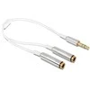 DELOCK Kabelio garso stereo lizdas vyriškas 3,5 mm 3 kontaktas > 2 x stereo lizdas, 3,5 mm 3 kontaktas 25 cm