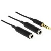 Delock skirstytuvo lizdo kištukas 3,5 mm 4 kontaktai> 2 x lizdas 3,5 mm 4 kontaktai 25 cm