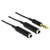 Delock skirstytuvo lizdo kištukas 3,5 mm 4 kontaktai> 2 x lizdas 3,5 mm 4 kontaktai 25 cm