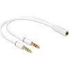 Delock ausinių adapteris 1 x 3,5 mm 4 kontaktų lizdas > 2 x 3,5 mm 3 kontaktų lizdas