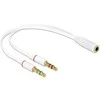 Delock ausinių adapteris 1 x 3,5 mm 4 kontaktų lizdas > 2 x 3,5 mm 3 kontaktų lizdas