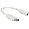 USB adapteris Delock USB-C – 3,5 mm baltas lizdas (65913)