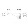 Delock Netzwerkadapter M12 4 Pin D-kodiert Buchse zu RJ45 Buchse