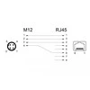 Delock Netzwerkadapter M12 4 Pin D-kodiert Stecker zu RJ45 Buchse