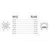 Delock Netzwerkadapter M12 8 Pin X-kodiert Buchse zu RJ45 Buchse