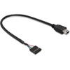 Delock kabelio USB 2.0 kontaktų antraštės lizdas > USB mini kištukas 30 cm
