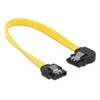 Delock 0.2m, Geltonas (83958)