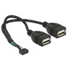 Delock Kabelis USB 2.0 Pfostenbuchse 2,00 mm 10 Pin > 2 x USB