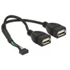 Delock Kabelis USB 2.0 Pfostenbuchse 2,00 mm 10 Pin > 2 x USB