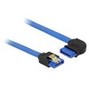 Delock SATA 0.2m