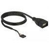 DELOCK kabelio USB 2.0 kaiščio antraštės lizdas iki 1 x USB 2.0 tipo A lizdo, 60 cm