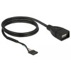 DELOCK kabelio USB 2.0 kaiščio antraštės lizdas iki 1 x USB 2.0 tipo A lizdo, 60 cm