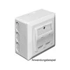Delock Lizdas podtynkowe Keystone Balta (86128)