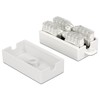 Delock tinklo adapterio prijungimo modulis LSA