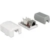 Delock tinklo lizdas 1xRJ45 LSA Cat.6A