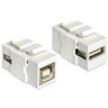 Delock Keystone modulis USB 2.0 A lizdas > USB 2.0 B lizdas