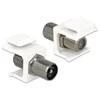 Delock Keystone IEC Stecker > F Buchse