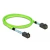 Delock PCI Express Cable Mini SAS HD SFF-8673 iki SFF-8673 1 m