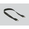 DELOCK USB-C 3.1 GEN 2 CFAST NVME KORTELĖS SKAITYtuvas (10 GB/S)