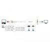 Delock USB-C adapterio techninė veikimo schema