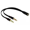 AV adapteris Delock Jack 3.5mm - Jack 3.5mm x2 juoda (65967)