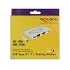 Delock USB-C doko stotelė pakuotėje