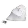DELOCK Ergonomiška USB Pelė vertikali - belaidė