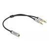 Delock Adapteris 1 x 3,5 mm 4 Pin Klinkenbuchse zu 2 x 3,5 mm 3 Pin stecker