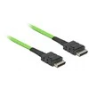 Delock Kabelis OCuLink PCIe SFF-8611 > SFF-8611 1 m