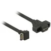 Delock USB 3.1 Gen2 kontaktų jungtis B raktas > 2x USB 3.1 Gen2 Type-A moteriškas 45 cm