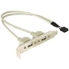 DELOCK lizdo laikiklis vidinis USB 5 kontaktai iki 2x USB2.0 išorinis