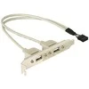 DELOCK lizdo laikiklis vidinis USB 5 kontaktai iki 2x USB2.0 išorinis