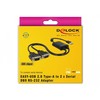 Delock USB 2.0 auf 2 x Seriell RS-232 Adapteris