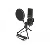 Delock USB Kondensator Mikrofonas Set - fr Podcasting, Gaming und Gesang