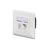 Assmann Electronic DIGITUS modulinis sieninis lizdas 2xRJ45 baltas Cat6 pilnai ekranuotas paviršinis montavimas RAL 9010